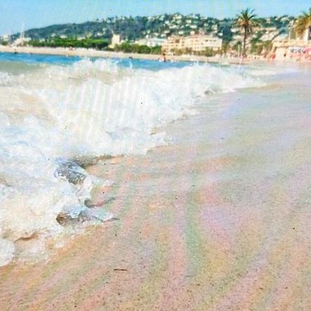 Residence De Vacances Avec Piscine & Transat, A 2 Minutes Des Plages - Bat N2 วาลูริส ภายนอก รูปภาพ